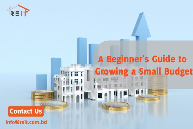 A Beginner’s Guide to Growing a Small Budget Investing, A Beginner's Guide to Growing a Small Budget